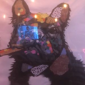 Meet your Posher, Sean